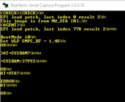 Screenshot from RealTerm showing a log of communication with a device via a serial port.