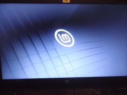 HP 250-G4 - błąd 0x1A przy bootowaniu Linux Mint z USB, brak Secure Boot w BIOS.