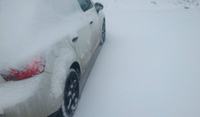 Seat Ibiza 6j5 - auto znosi w prawo po naprawie zbieżności
