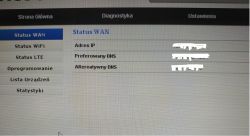 Widok ekranu z ustawieniami sieci WAN na routerze, pokazujący adres IP oraz ustawienia DNS.