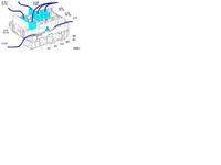 Bezpiecznik wentylatora Partner II 1,6HDI 2006r.