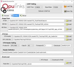 Opulinks Download Tool window displaying settings and file paths.