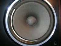 Wymiana,naprawa głosniczków.Jakie?