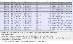 TCP and TLS Network Packet Analysis Screenshot Screenshot showing network data of TCP and TLS packets.