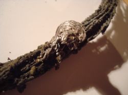 Fiat Bravo 2007 - Ocena przewodów po prawdopodobnym zwarciu instalacji