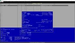 Polskie programy DOS do kantorów, banków, aptek – czy powstają nowe wersje?