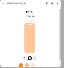 App interface showing WT00000000 light set to 89%