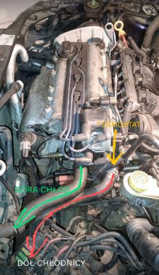 Komora silnika VW Lupo z 2000 r., oznaczone węże układu chłodzenia i termostat