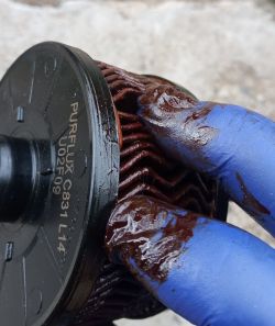 Zanieczyszczony filtr paliwa Purflux w zbliżeniu, trzymany przez osobę w niebieskiej rękawicy.