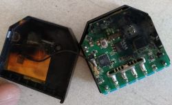 Shelly 1 equipment failure after 5 months - burnt out and damaged electronics