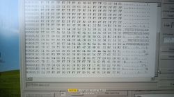 Zrzut ekranu z programu diagnostycznego z danymi EEPROM i VIN.