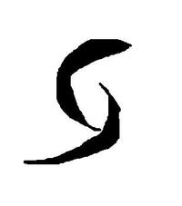 TP x2 max 550W - Informacje o wzmacniaczu oraz skrzyni