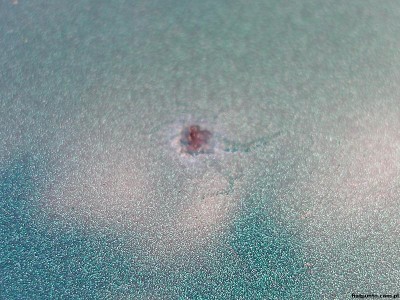 Fiat Punto 2008 rok - korozja dachu rdza liniowa/pajączki