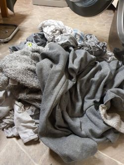 Bosch Condenser Tumble Dryer: Comparing WTW85460PL Heat Pump Model and Conventional Options