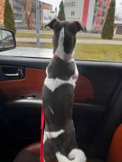 W124 1993 r. - Samodzielne kopiowanie transpondera/immobilizera