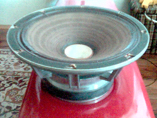 jaki to model tonsila ?...