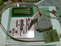 poczatkujący "bascom" przyciski