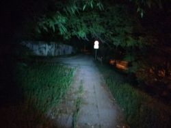 Artykuł - Ile czasu i pracy, poświęcają dla Was Redaktorzy Elektrody.