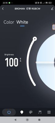App screen showing brightness set to 100% for BROMAN RGB LED strip.