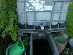Rainwater Tanks: Preventing Algae Formation in Mauser 1000L Tanks with Proven Preparations