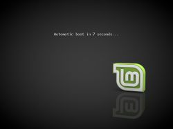 GRUB Error: Fixing Linux Mint 19 Installation Issue on Multiple Partitions (Root, Home, Swap)