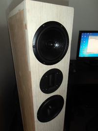 Kolumny DIY - 2x SEAS i wstęga fountek. Kolumny DIY - 2x SEAS i wstęga fountek.