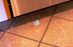 Bosch SMV68TX04E Dishwasher: Blurred Floor Display Issue - Possible Solutions & Alternatives