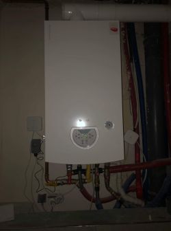 Dual-function ovens, e.g. Termet ecocondens, reduced temperature setting