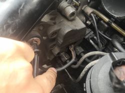 Berlingo I 1.9D 97r nie podaje paliwa na wtryski, nie odpala