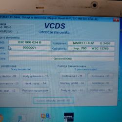 Zdjęcie ekranu programu diagnostycznego VCDS dla Skody Fabia II.