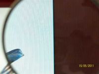 Dell 1703FPs - naprawa matrycy Samsunga