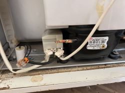 Beko K542 70HB lodówka – sprężarka wyłącza się po kilku sekundach. Gdzie jest termostat?