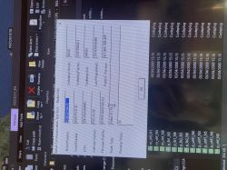 Ekran komputera z oknem „Radio Info” i listą „Codeplug” w tle