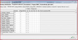 Satel Integra 32: Troubleshooting SMS Sending Issues via GSM-X Module- Configuration in DloadX