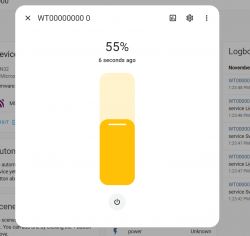 User interface showing dimmer control at 55%.