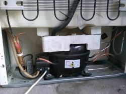 Beko CSA 24022 - Zamrażarka działa, lodówka nie chłodzi, co robić?