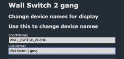 Settings interface with options to change the device name Wall Switch 2 gang.