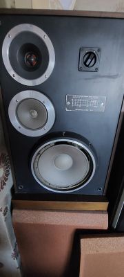 Co to za Altusy? Podłączenie wzmacniacza Technics SU-V45A