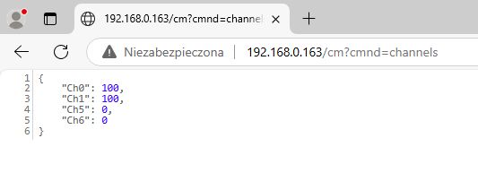 Screenshot of a browser showing command results at 192.168.0.163, displaying channel values CH0 and CH1 as 100, and CH5 and CH6 as 0.