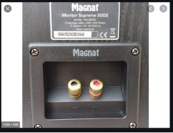 Magnat Monitor - wymiana kondensatorów
