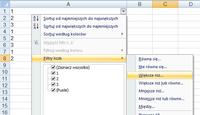 excel - wyodrębnianie i ilość powtarzających się komórek