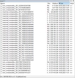 File list on a computer screen showing various files with names and sizes on a disk.