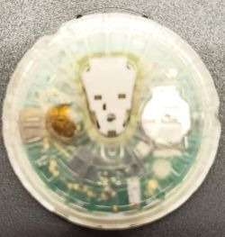 Disassembled electronic sensor with visible internal components