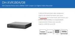 Rejestrator Dahua, kamerki CCTV i kamery IP. Czy to ma sens?