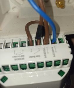 Close-up of electrical terminal block with brown and blue wires inside a white housing.