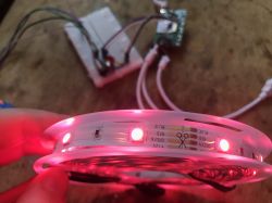 Pink-Glowing RGB LED Strip Pink-glowing LED strip with RGB color labels visible on the side.
