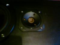 Proszę o identyfikację kolumn.