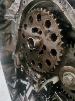 Zbliżenie na koło zębate z otworami, prawdopodobnie część mechanizmu rozrządu silnika.