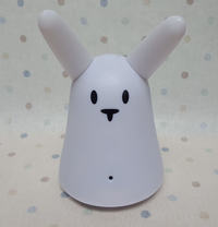 RabbitPi - cyfrowy asystent Internetu Rzeczy z Alexa