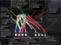 Seat Leon 1M- Do podłączenia: el.lusterka, podgrzewane fotele, przednie halogeny
